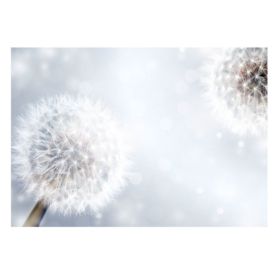 Fototapet vlies - Momente imprevizibile - 400 x 280 cm