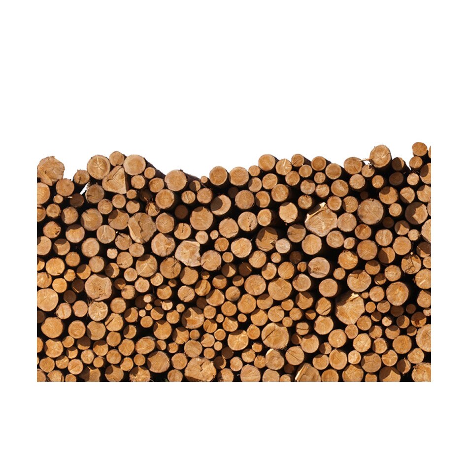 Fototapet vlies - Woodpile - 250 x 193 cm