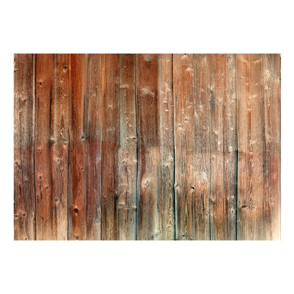 Fototapet vlies - Cabana Forest - 350 x 245 cm