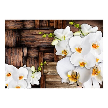 Fototapet vlies - Blooming orhidee - 200 x 140 cm Fototapet vlies - Blooming orhidee - 200 x 140 cm