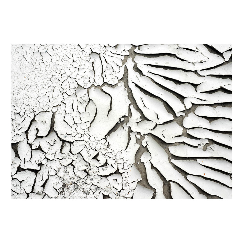 Fototapet vlies - Semne ale timpului - 400 x 280 cm