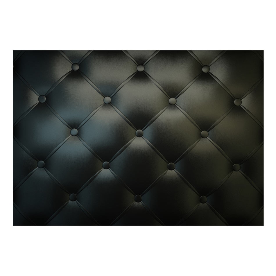 Fototapet vlies - Distinsa eleganta - 350 x 245 cm
