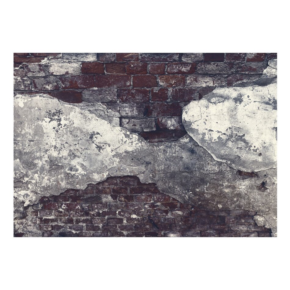 Fototapet vlies - Aliata intunecata - 350 x 245 cm
