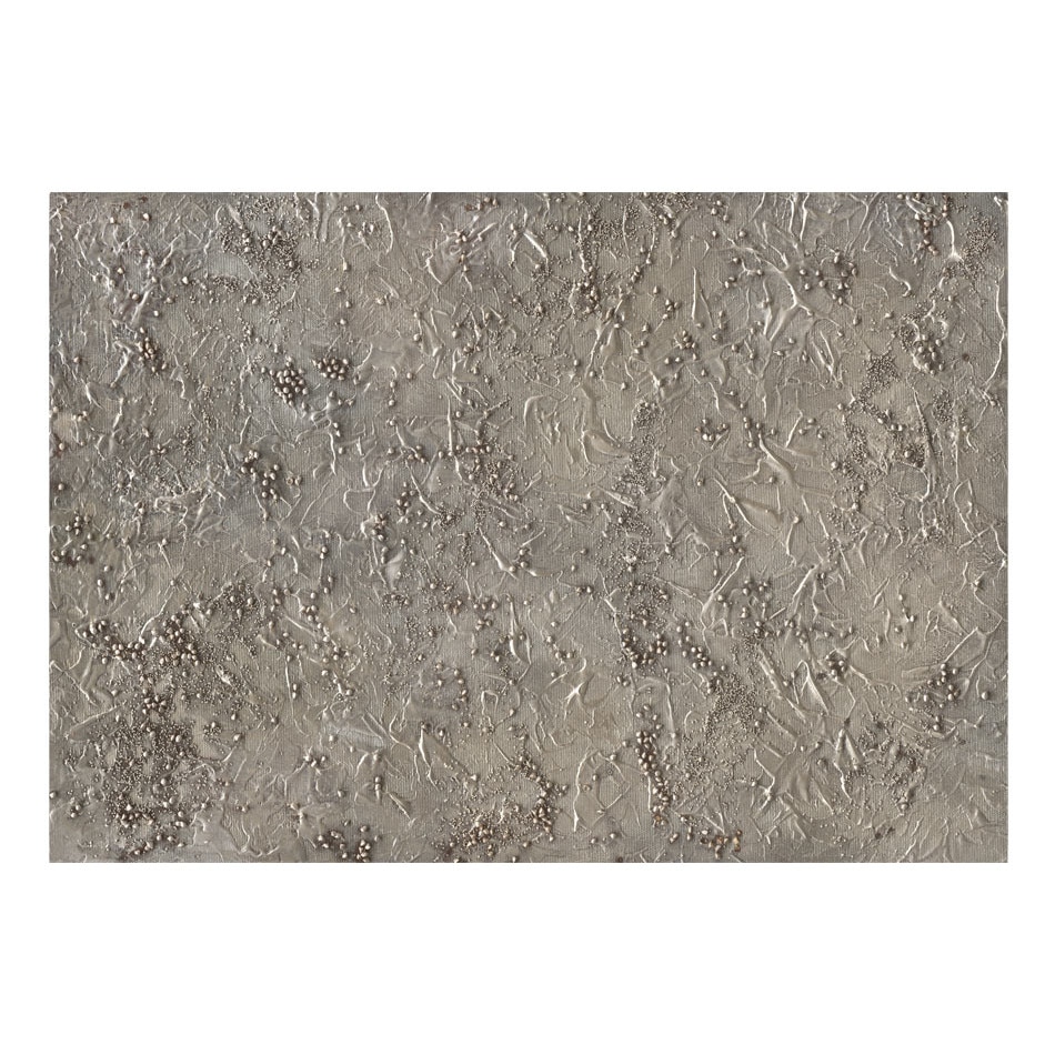 Fototapet vlies - Serena de argint - 350 x 245 cm