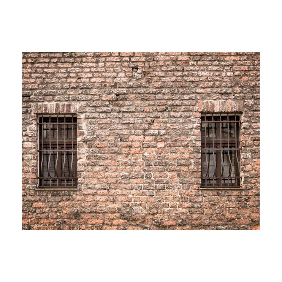 Fototapet vlies - Prins in realitate - 250 x 193 cm