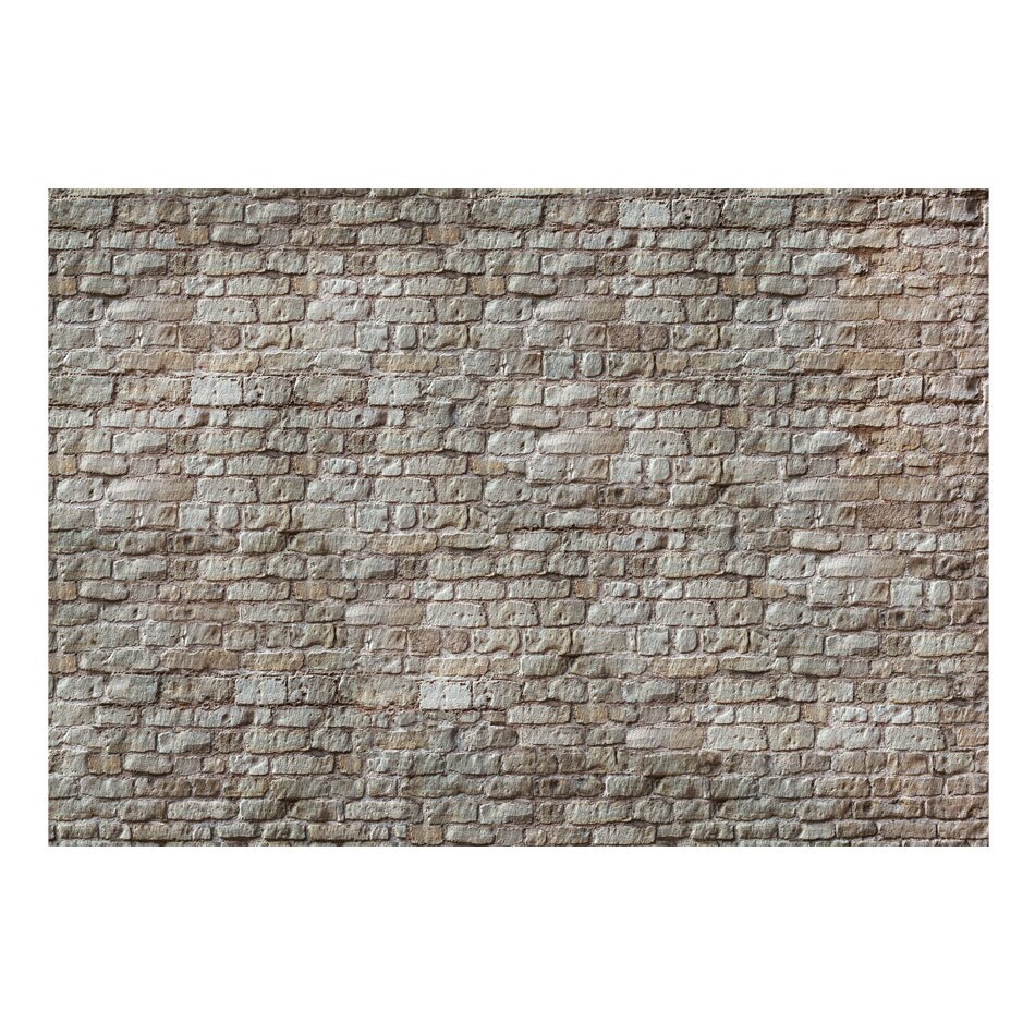 Fototapet vlies - Realitate - 400 x 280 cm