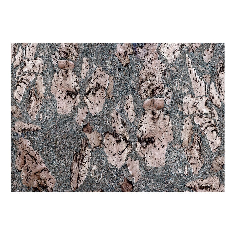Fototapet vlies - Gri inchis - 350 x 245 cm