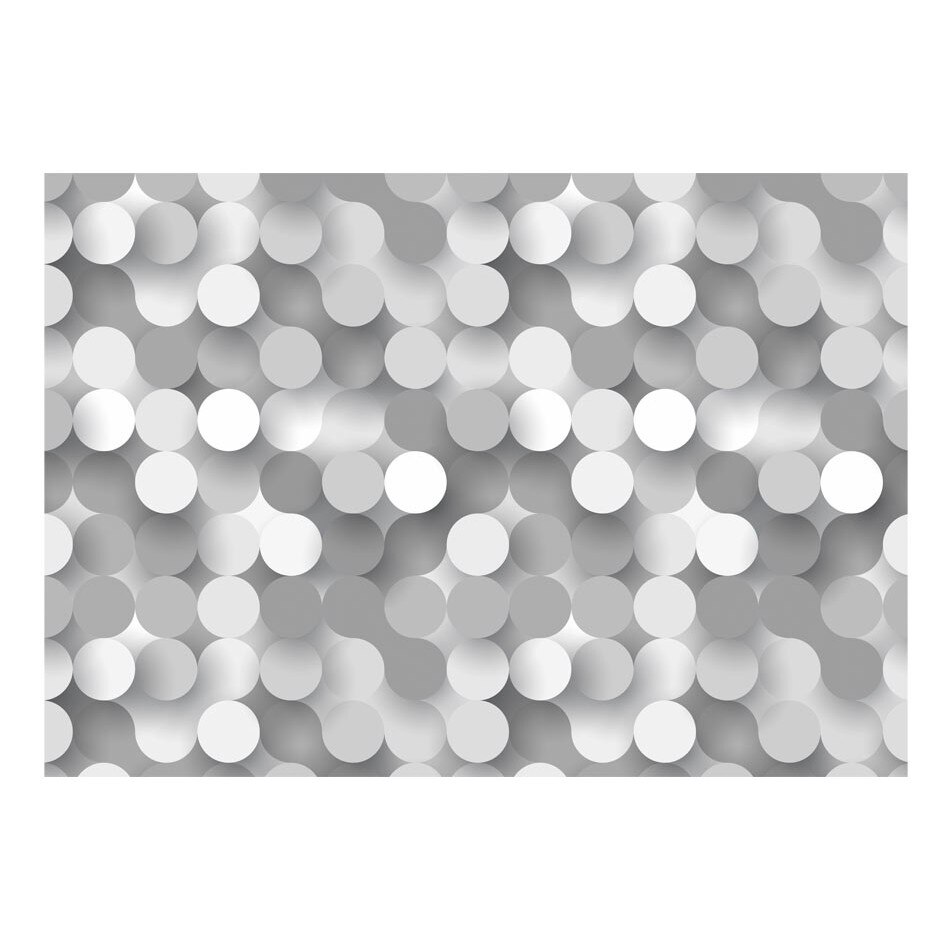 Fototapet vlies - Negru de argint - 400 x 280 cm