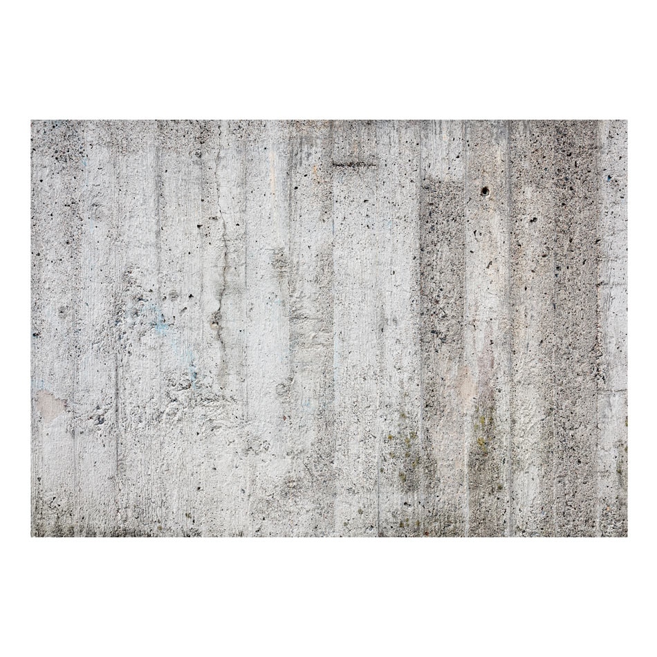Fototapet vlies - Imparatul Gray - 400 x 280 cm