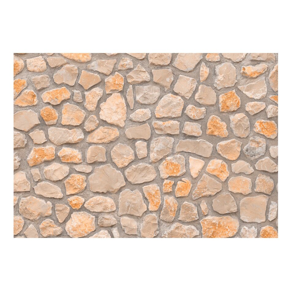 Fototapet vlies - Epoca de piatra - 100 x 70 cm