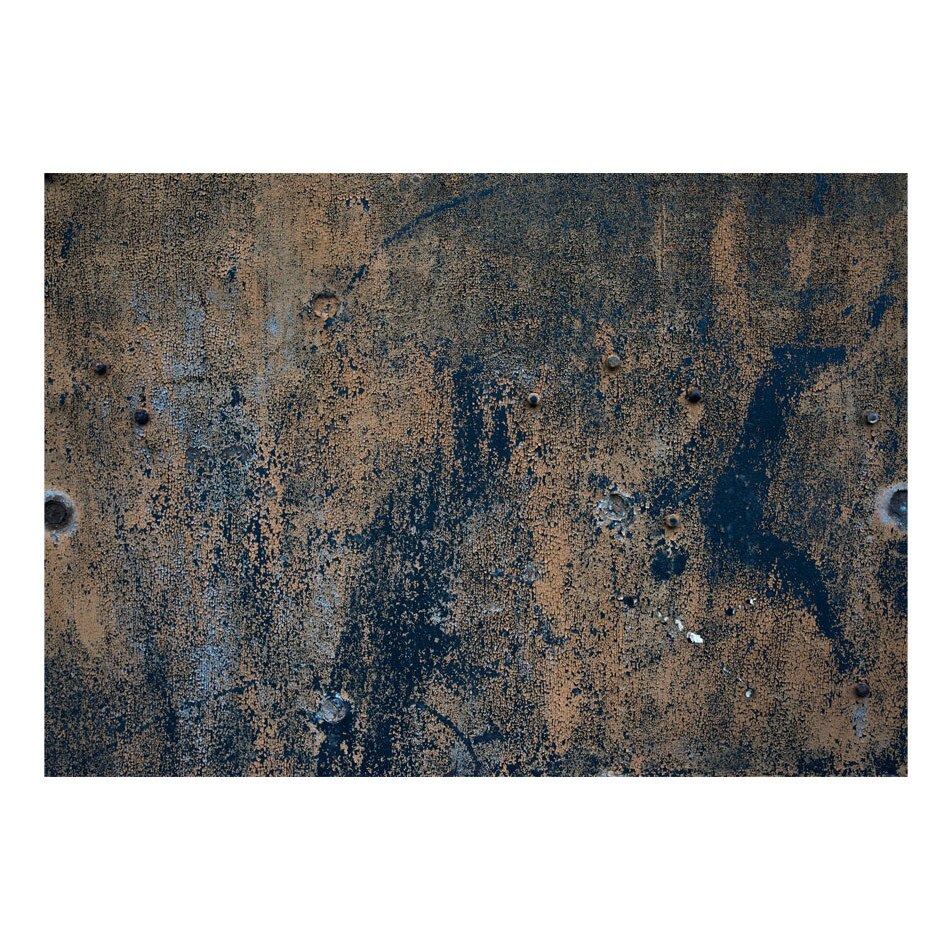 Fototapet vlies - Dans preistoric - 100 x 70 cm