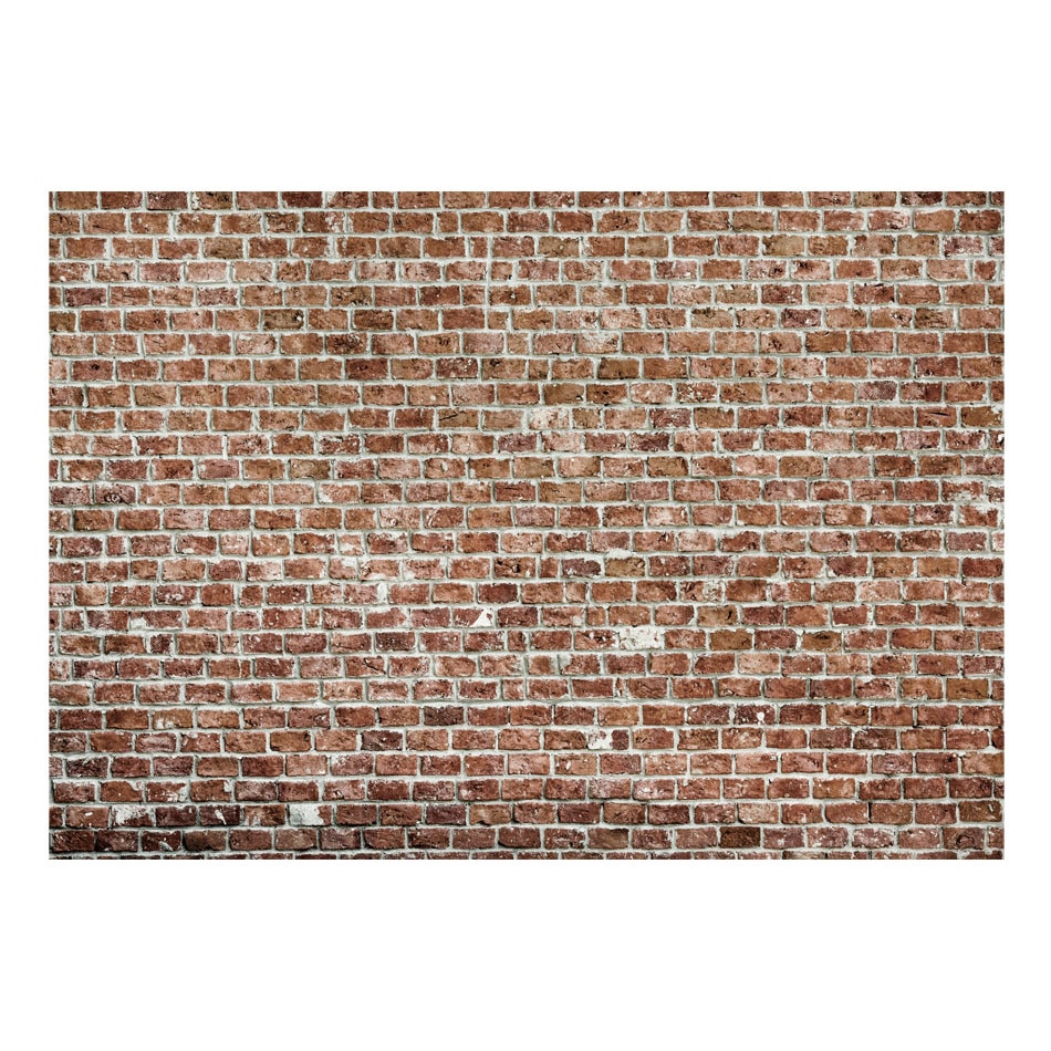 Fototapet vlies - Vechiul Dominion - 350 x 245 cm