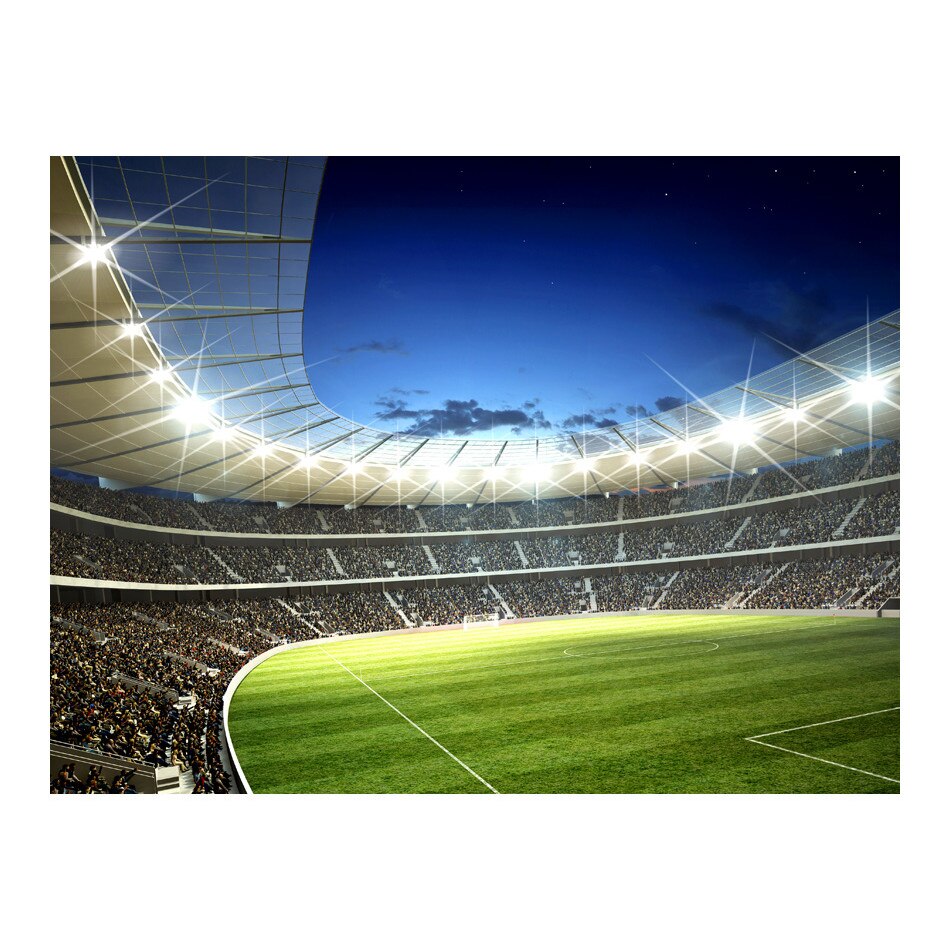 Fototapet vlies - Stadion national - 350 x 270 cm