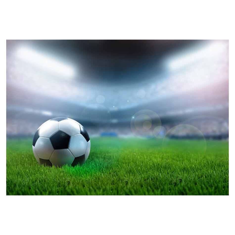 Fototapet vlies - Campionatul Mondial - 350 x 245 cm