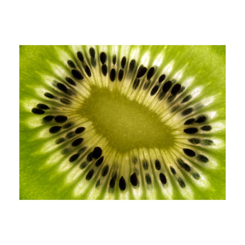 Fototapet vlies - Fructe: kiwi - 250 x 193 cm