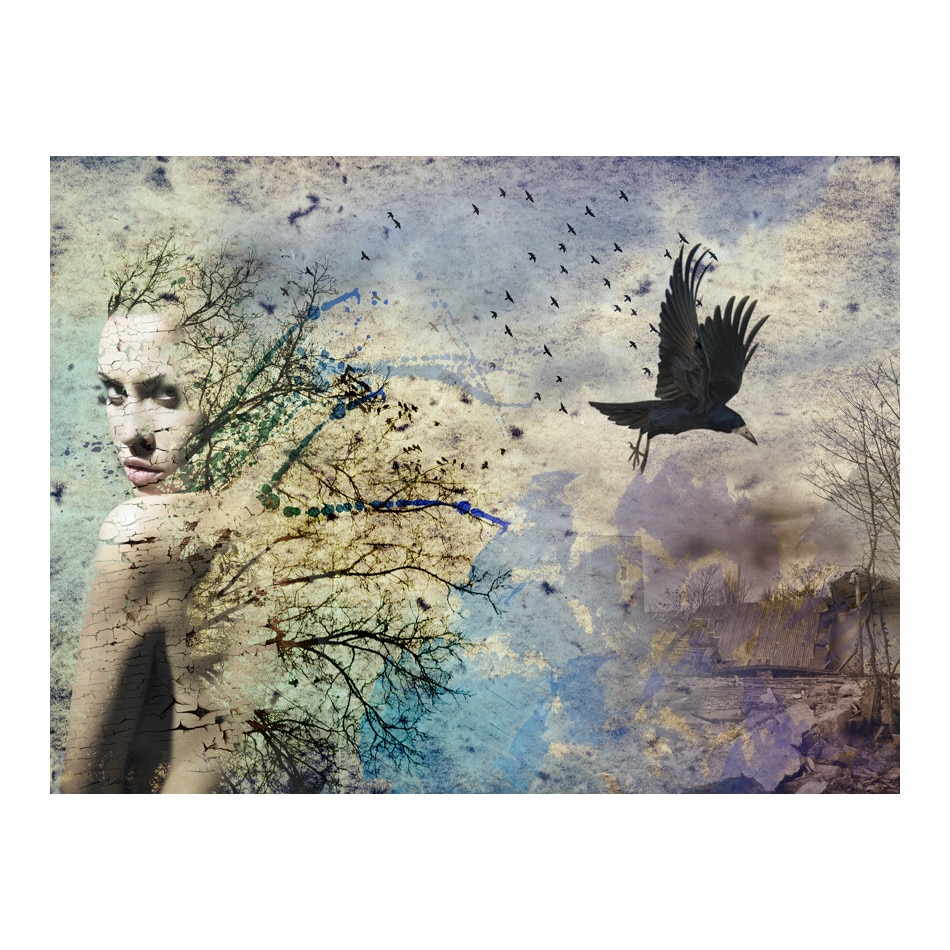 Fototapet vlies - Schimbarea identitatii - 250 x 193 cm