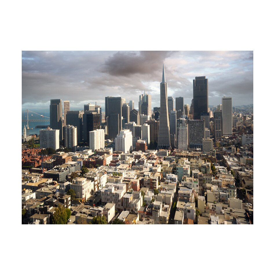 Fototapet vlies - In nori - 250 x 193 cm