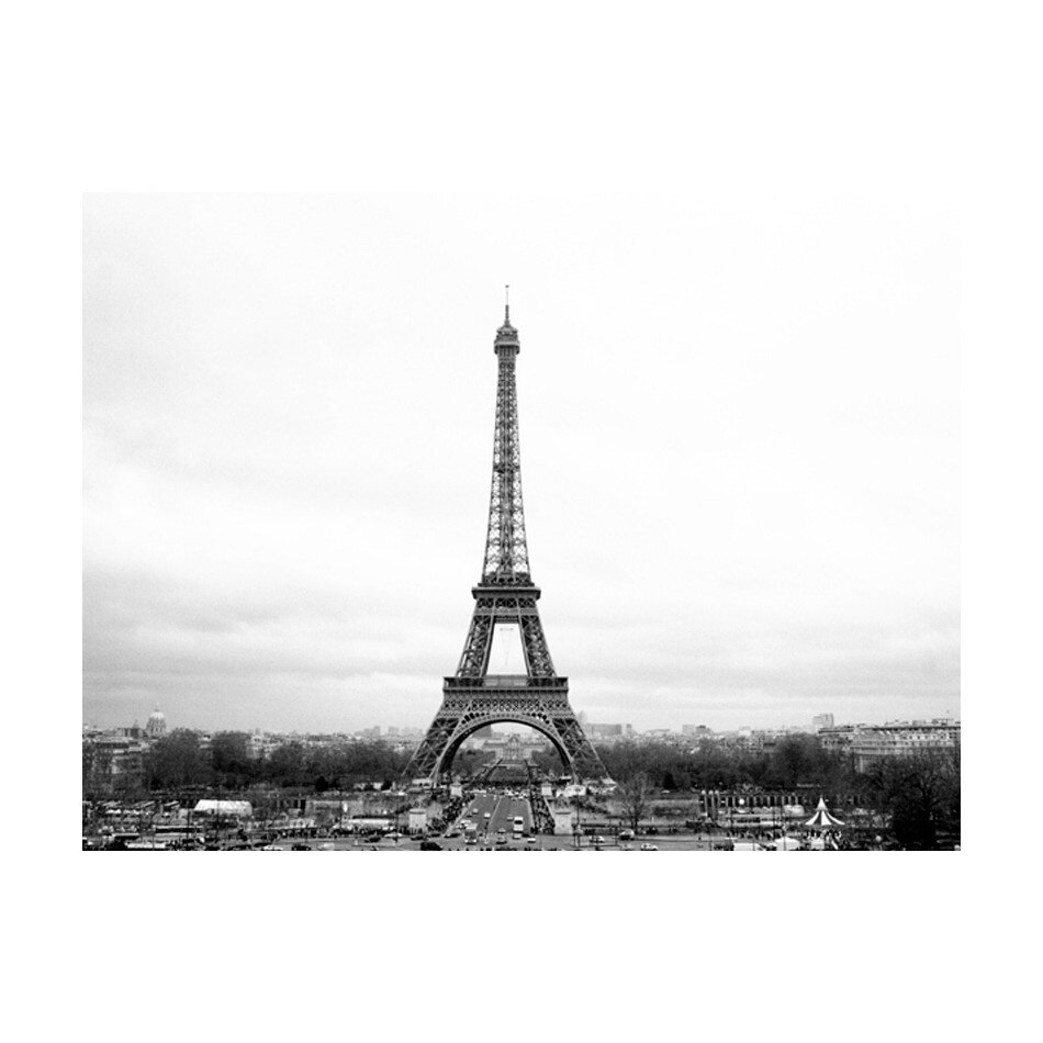 Fototapet vlies - Paris fotografie alb si negru - 350 x 270 cm