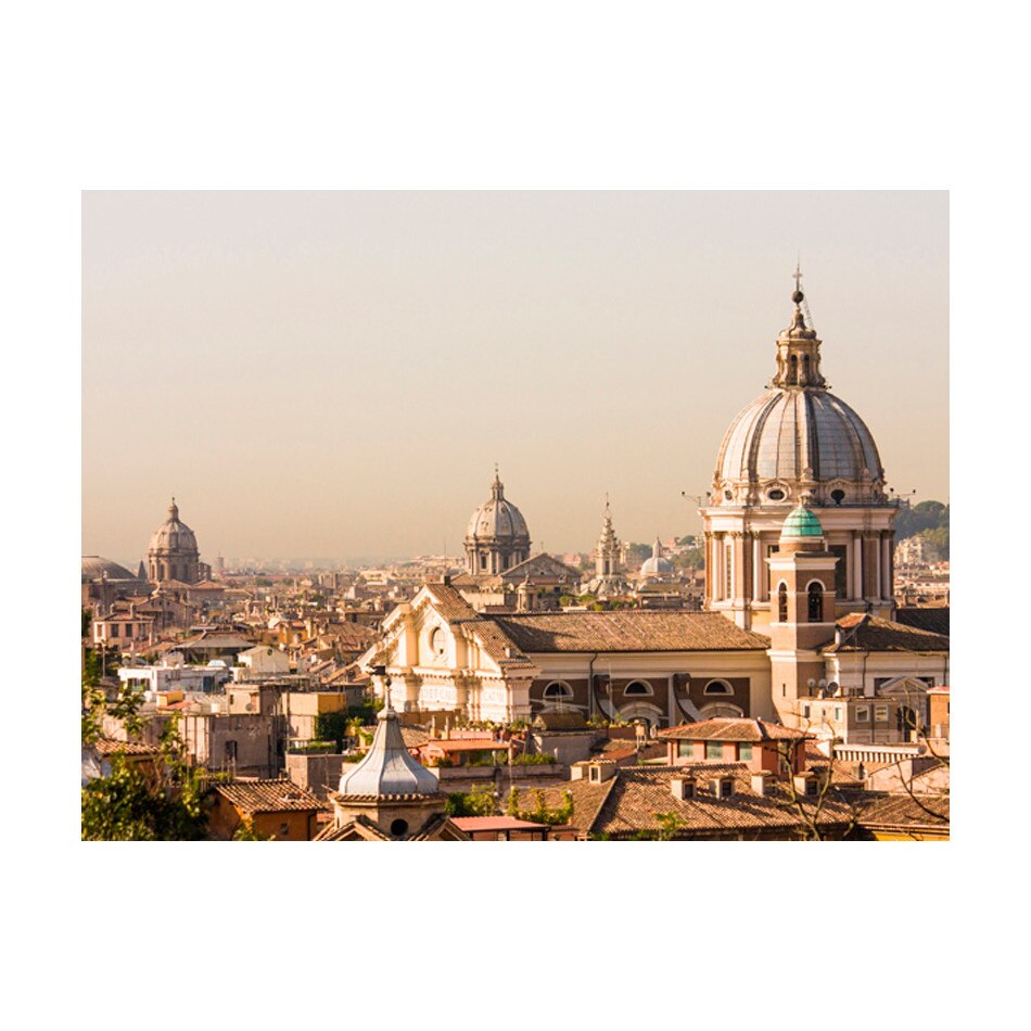 Fototapet vlies - Viziunea asupra pasarilor de la Roma - 350 x 270 cm