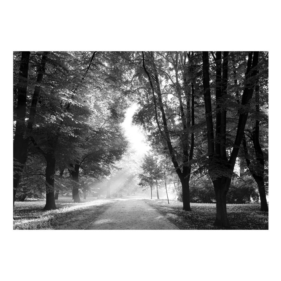 Fototapet vlies - Calea amintirilor - 350 x 245 cm