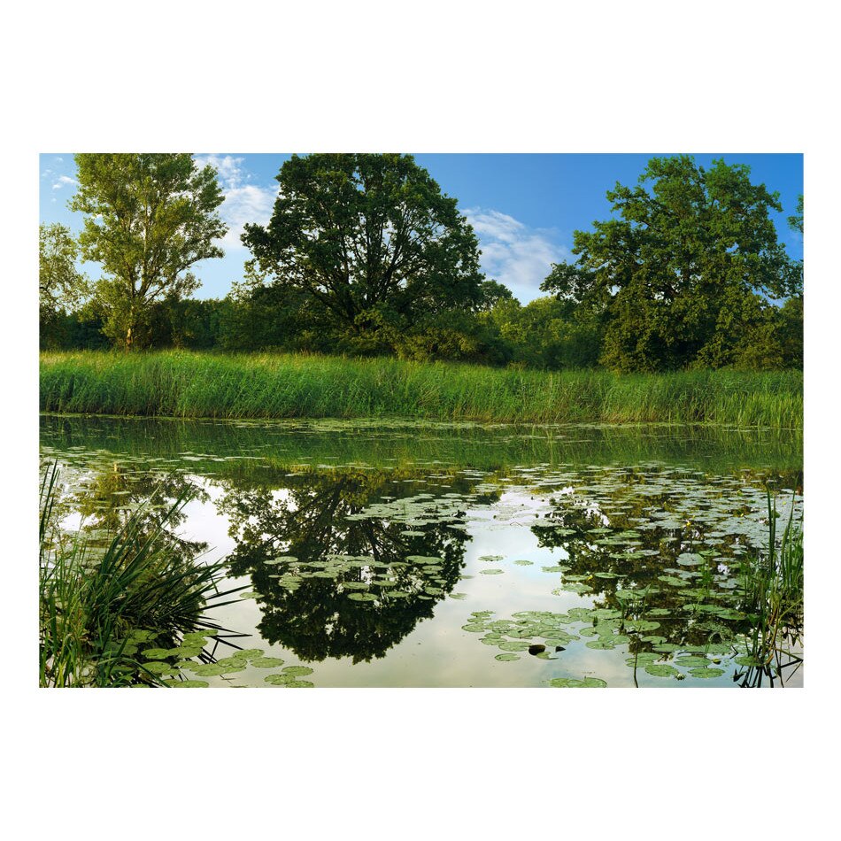 Fototapet vlies - Lacul Magic - 350 x 245 cm