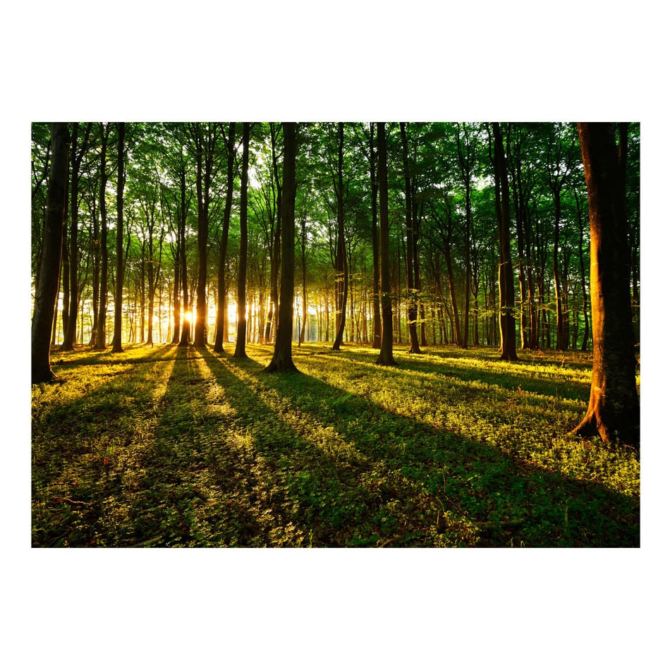 Fototapet vlies - Mormantul mortii - 400 x 280 cm