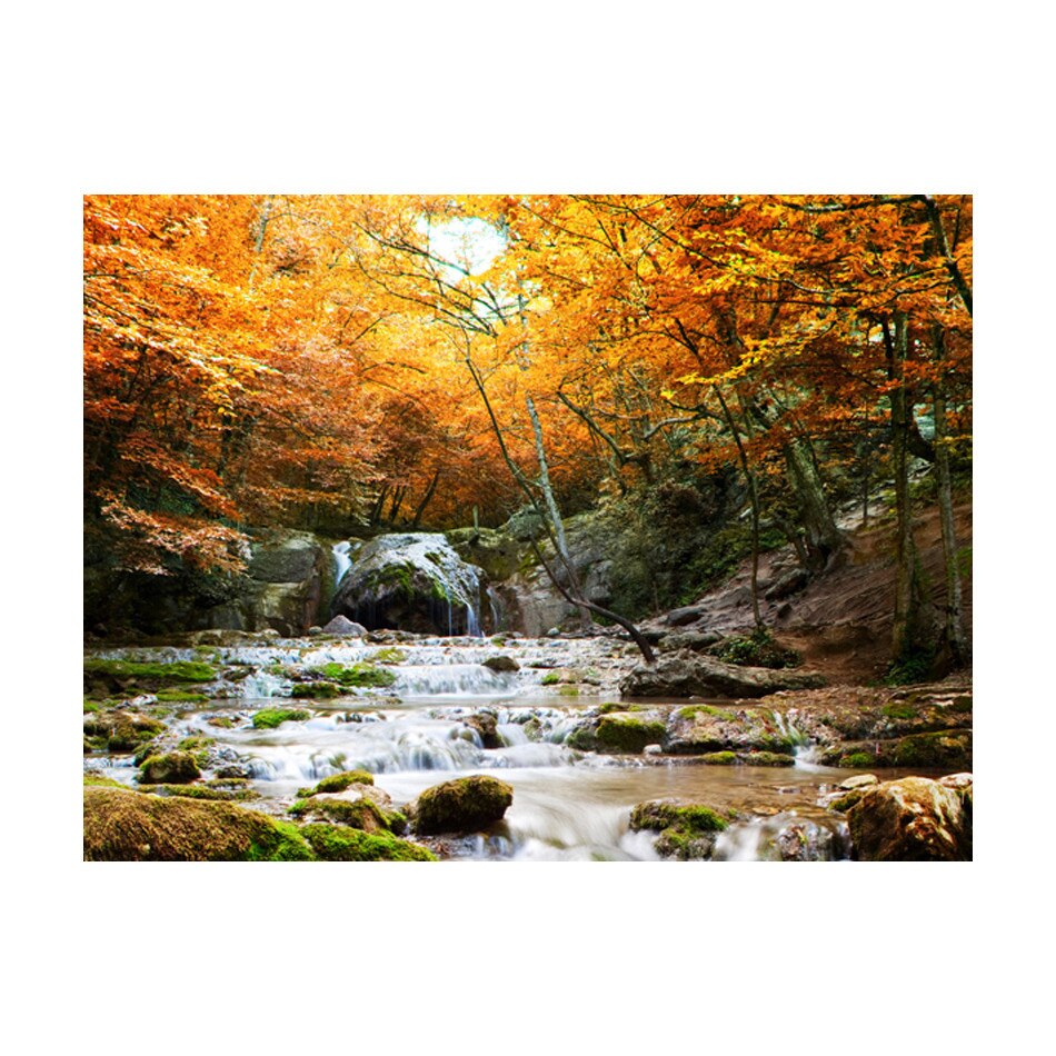 Fototapet vlies - Toamna cascada - 300 x 231 cm