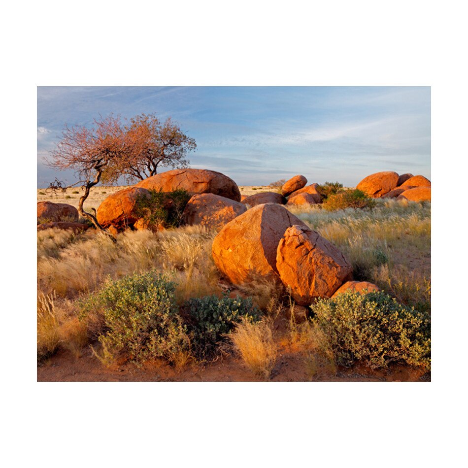 Fototapet vlies - Peisaj african Namibia - 300 x 231 cm