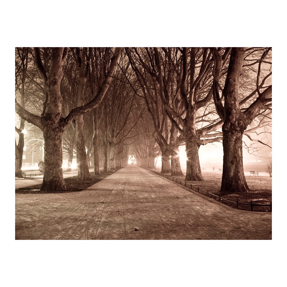 Fototapet vlies - Alee de parc - 350 x 270 cm