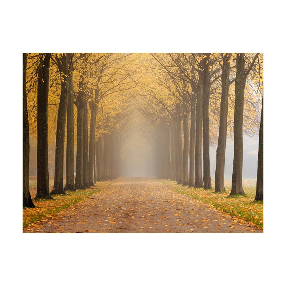 Fototapet vlies - Calatorie spre necunoscut - 250 x 193 cm