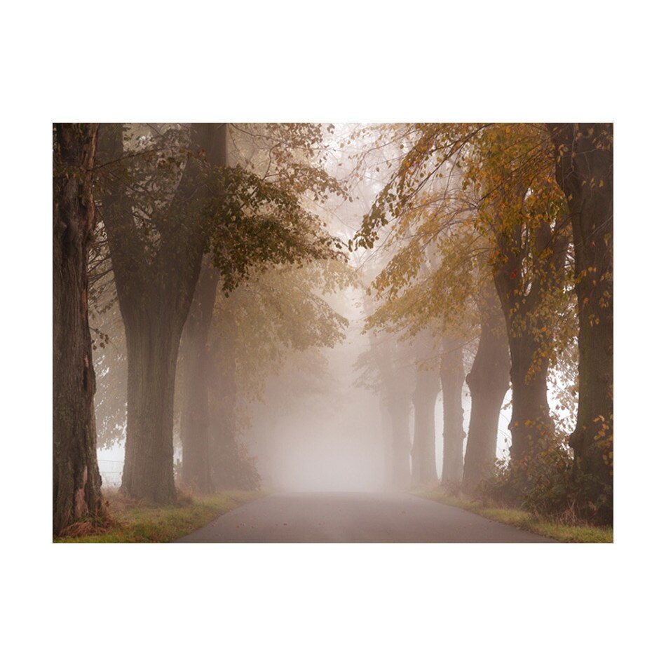 Fototapet vlies - Capat de drum - 400 x 309 cm