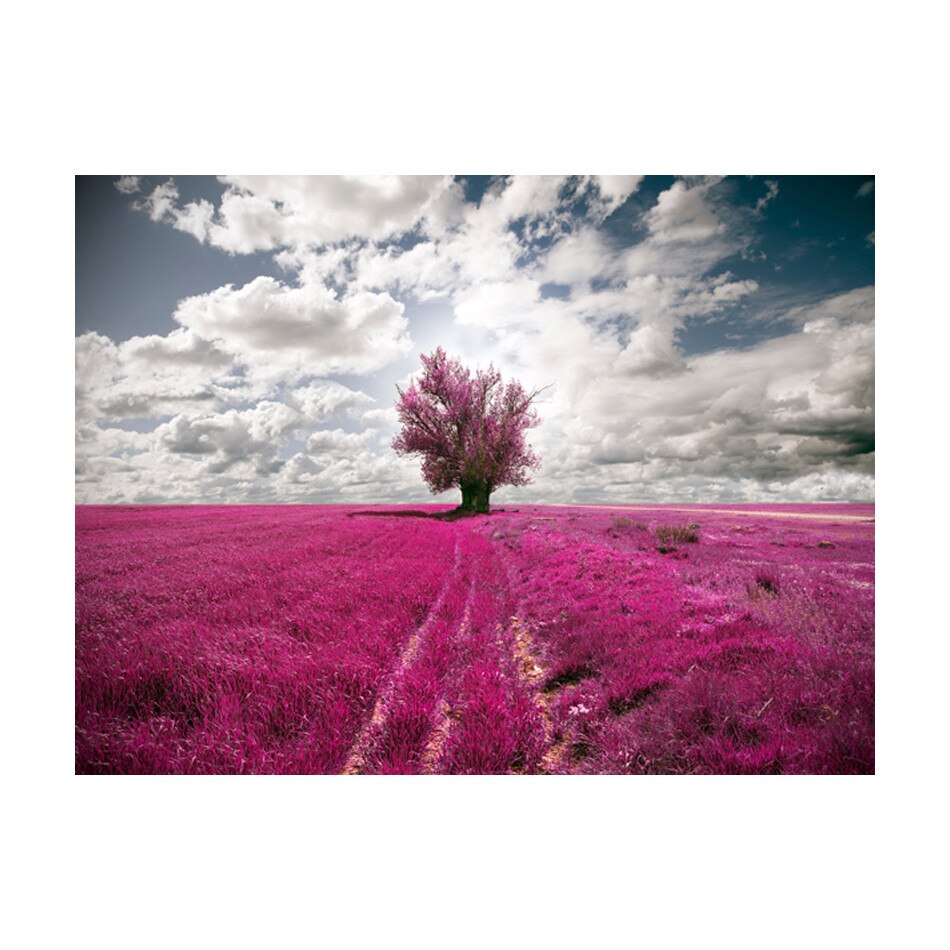 Fototapet vlies - Magenta pajiste - 350 x 270 cm