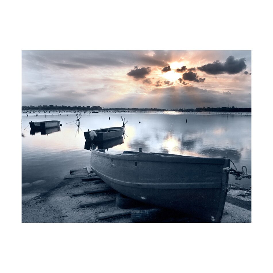 Fototapet vlies - Portulete mici - 250 x 193 cm