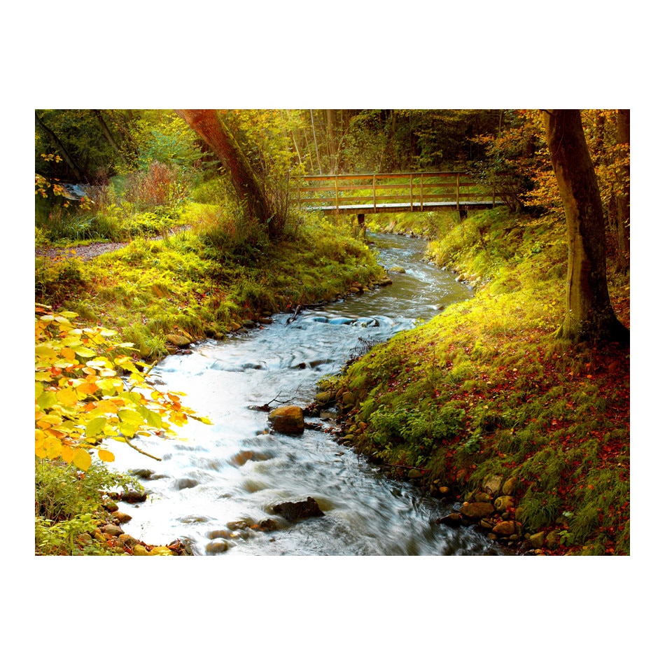 Fototapet vlies - Parau rasarit - 200 x 154 cm