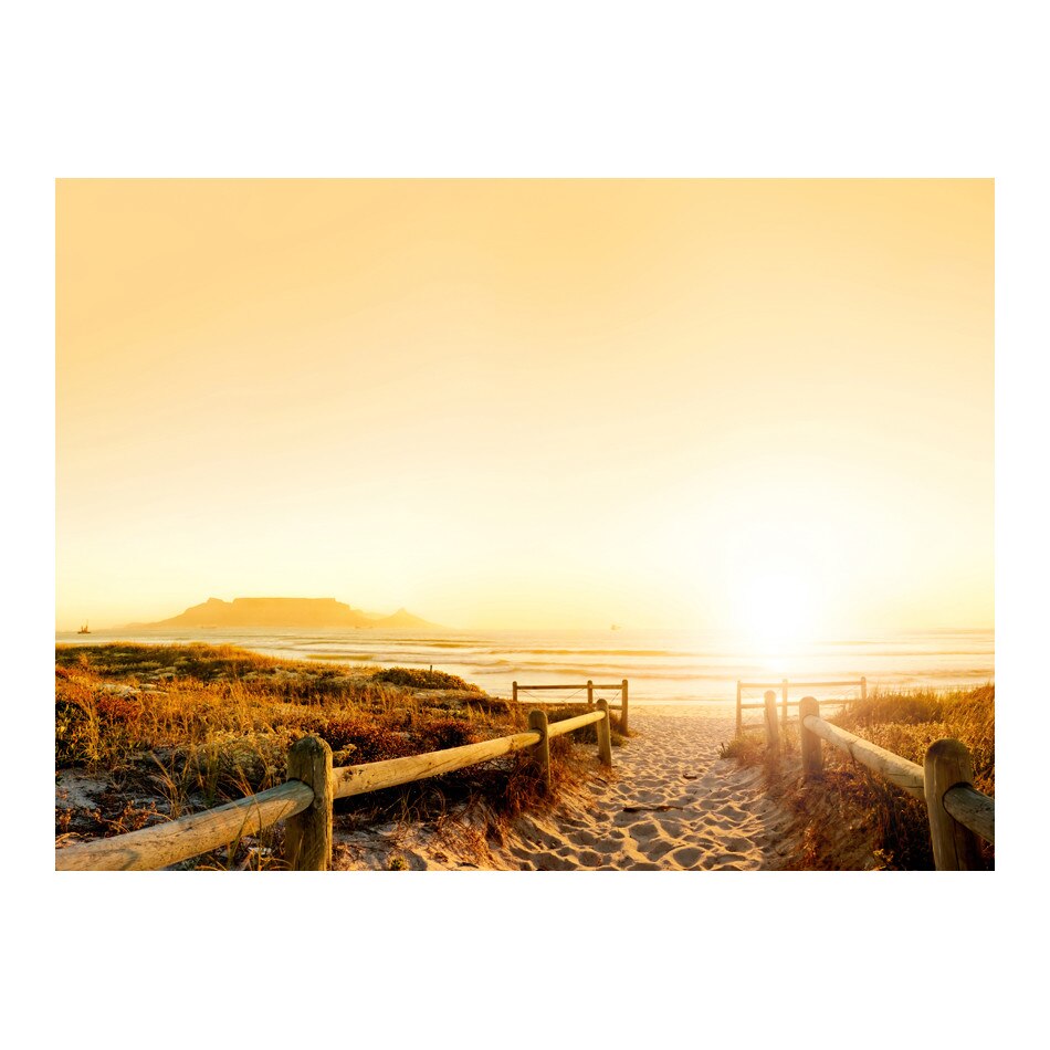 Fototapet vlies - Mergand in directia soarelui ... - 400 x 309 cm