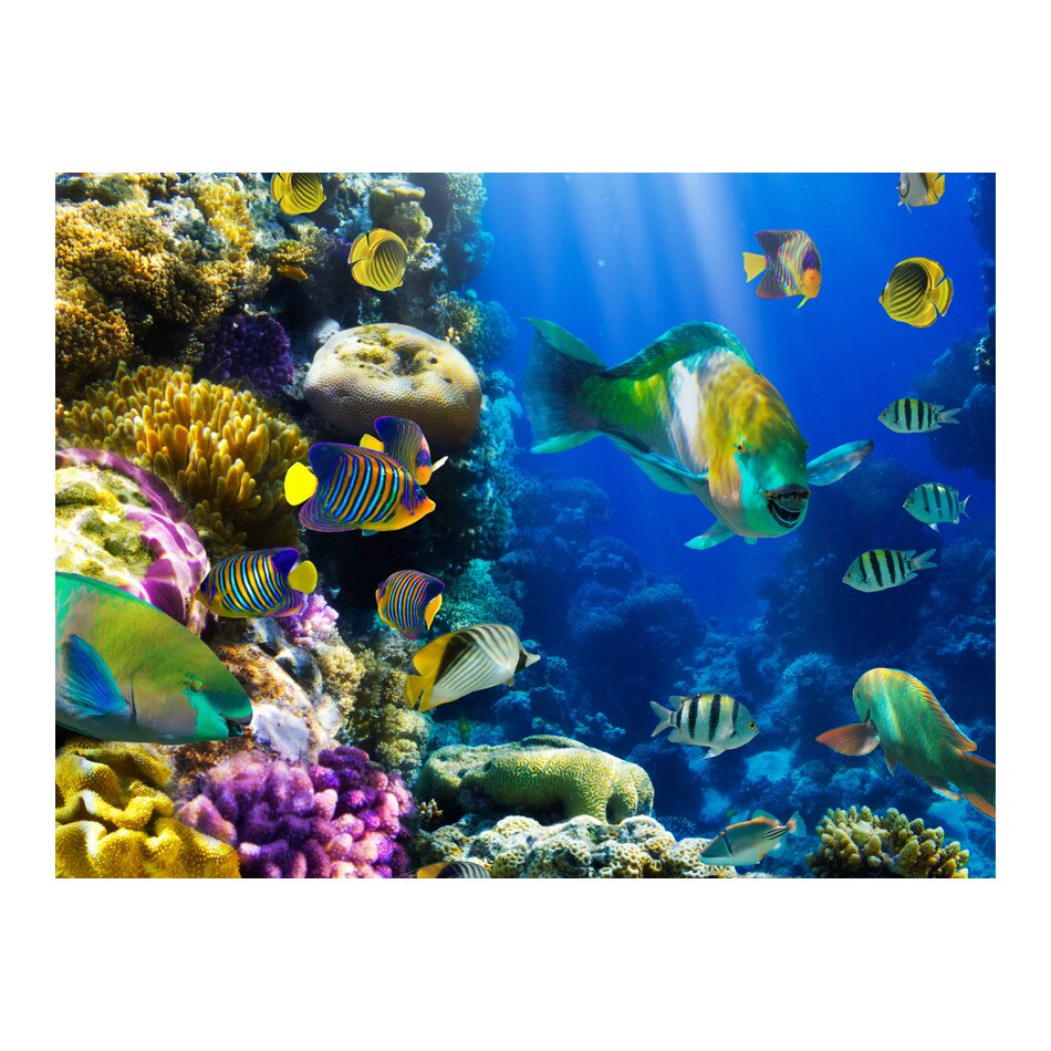 Fototapet vlies - Paradisul subacvatic - 400 x 309 cm