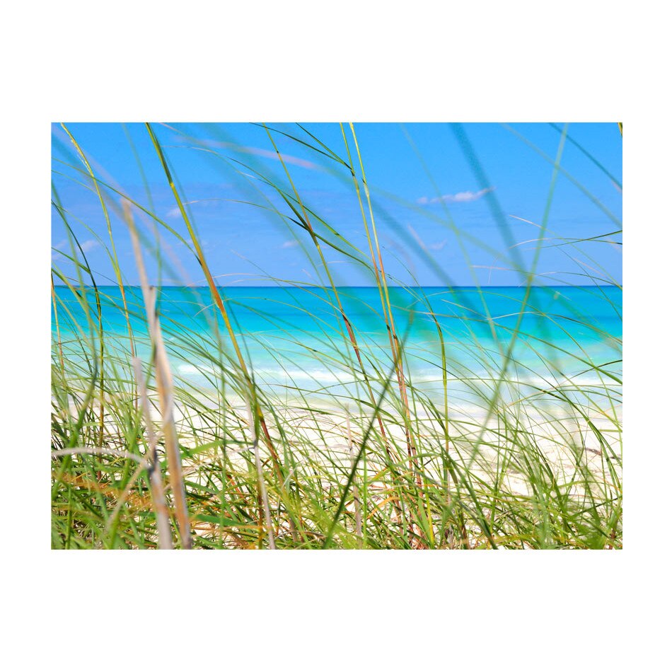 Fototapet vlies - Calatoria tropicala - 400 x 309 cm
