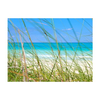 Fototapet vlies - Calatoria tropicala - 400 x 309 cm Fototapet vlies - Calatoria tropicala - 400 x 309 cm