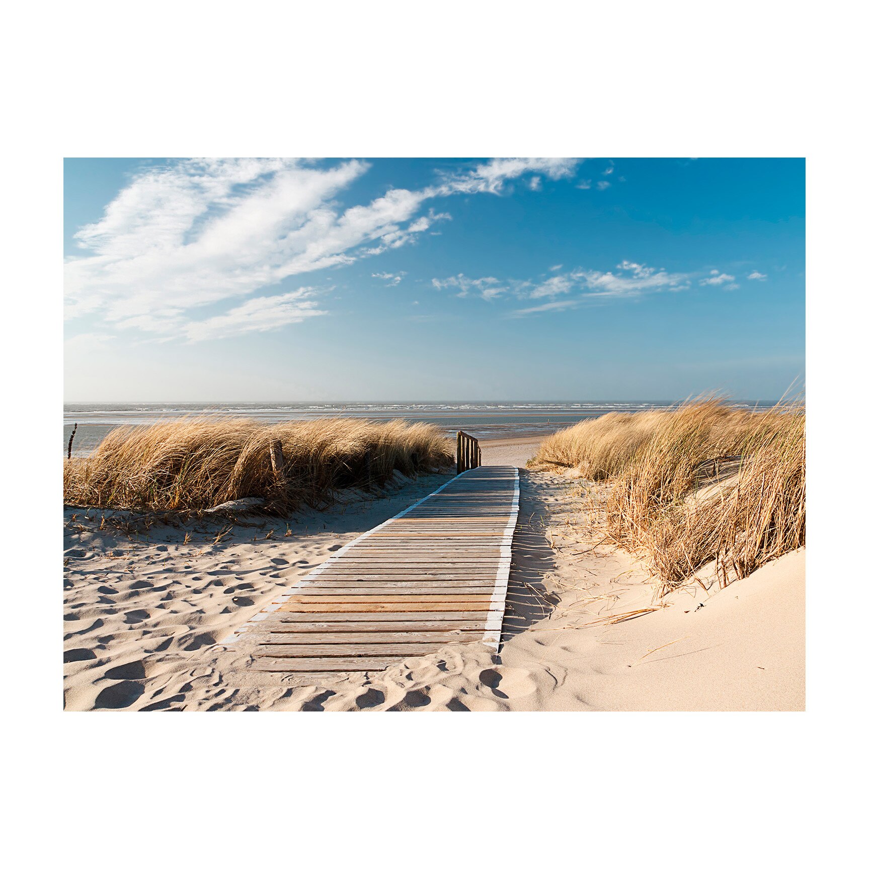 Fototapet vlies - Plaja din Marea Nordului Langeoog - 350 x 270 cm