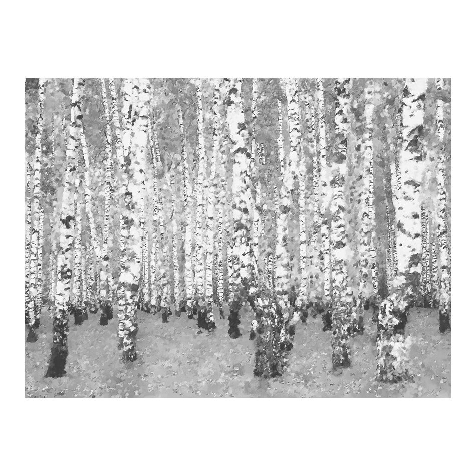 Fototapet vlies - Birch izolare - 200 x 154 cm