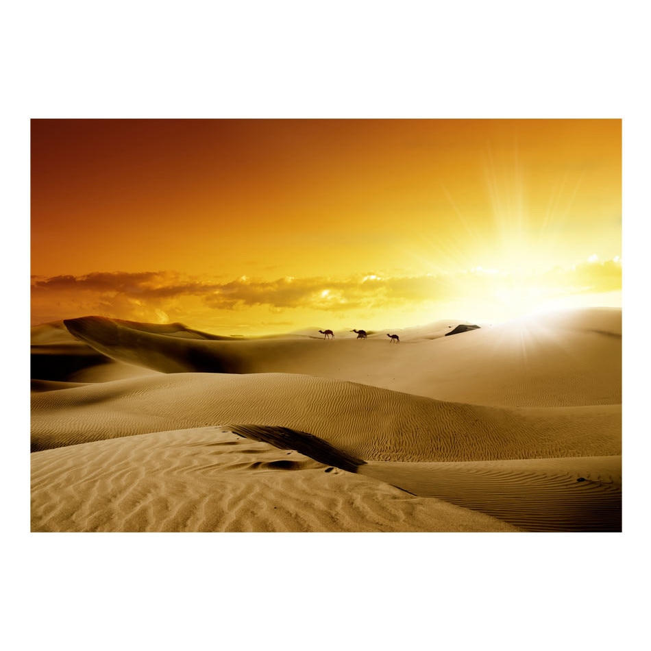 Fototapet vlies - Martie de camile - 400 x 280 cm