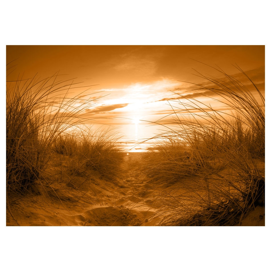 Fototapet vlies - Plaja sepia - 300 x 210 cm