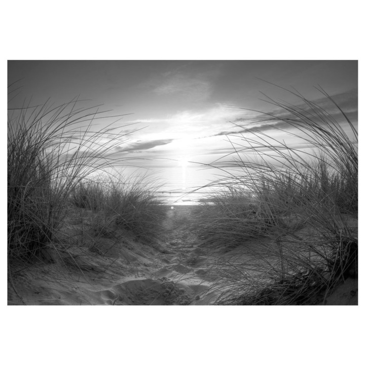 Öntapadó fotótapéta Artgeist, beach (black and white), _1, 343 x 245 cm