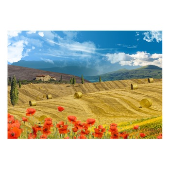 Fototapet vlies - Peisaj de toamna - 300x210 cm Fototapet vlies - Peisaj de toamna - 300x210 cm