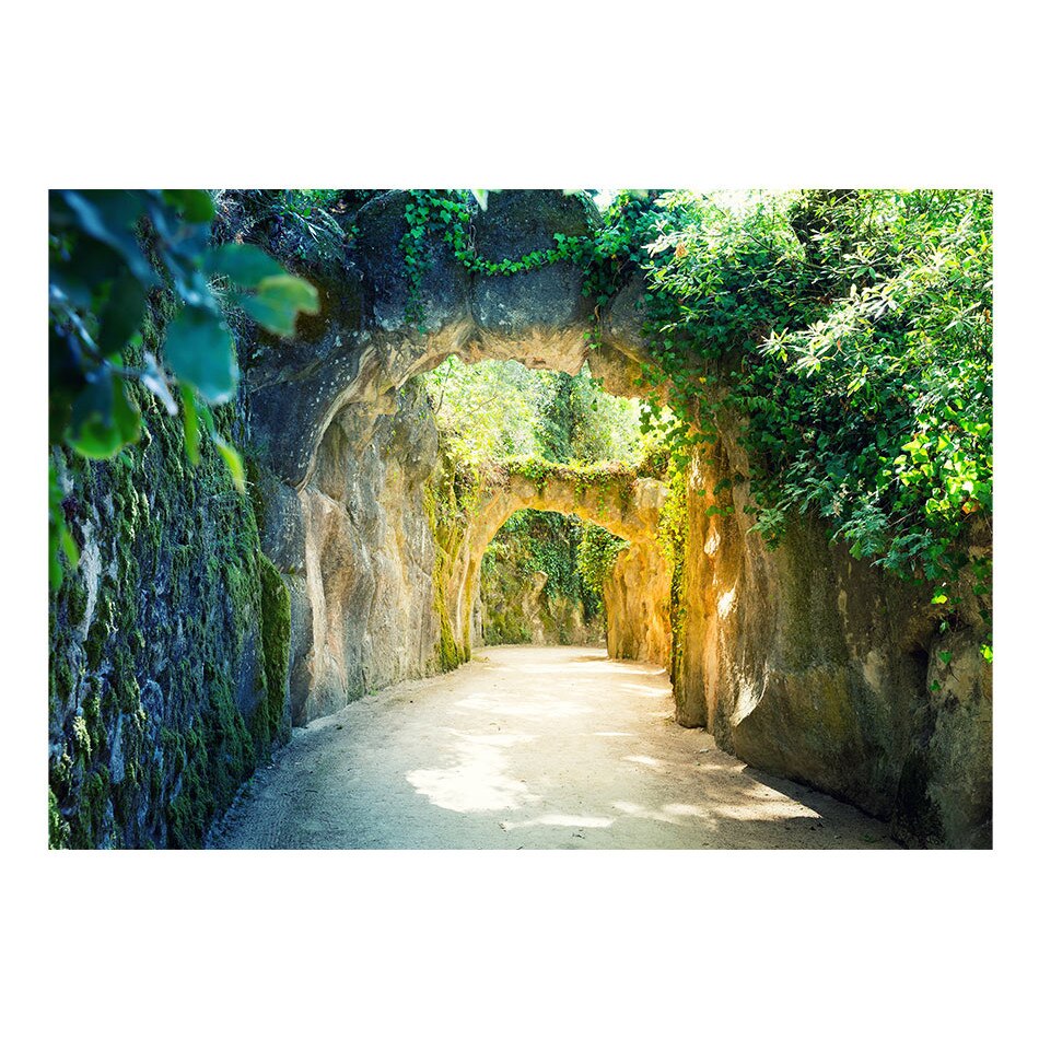 Fototapet vlies - Via naturae - 350 x 245 cm