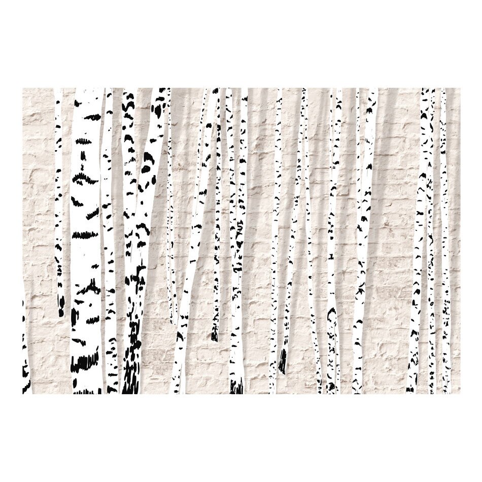 Fototapet vlies - Birchen Grove - 350 x 245 cm