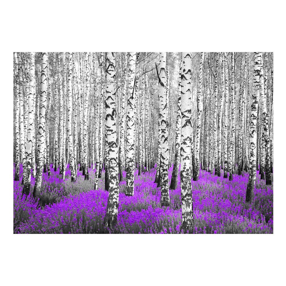 Fototapet vlies - Pura azil - 400 x 280 cm