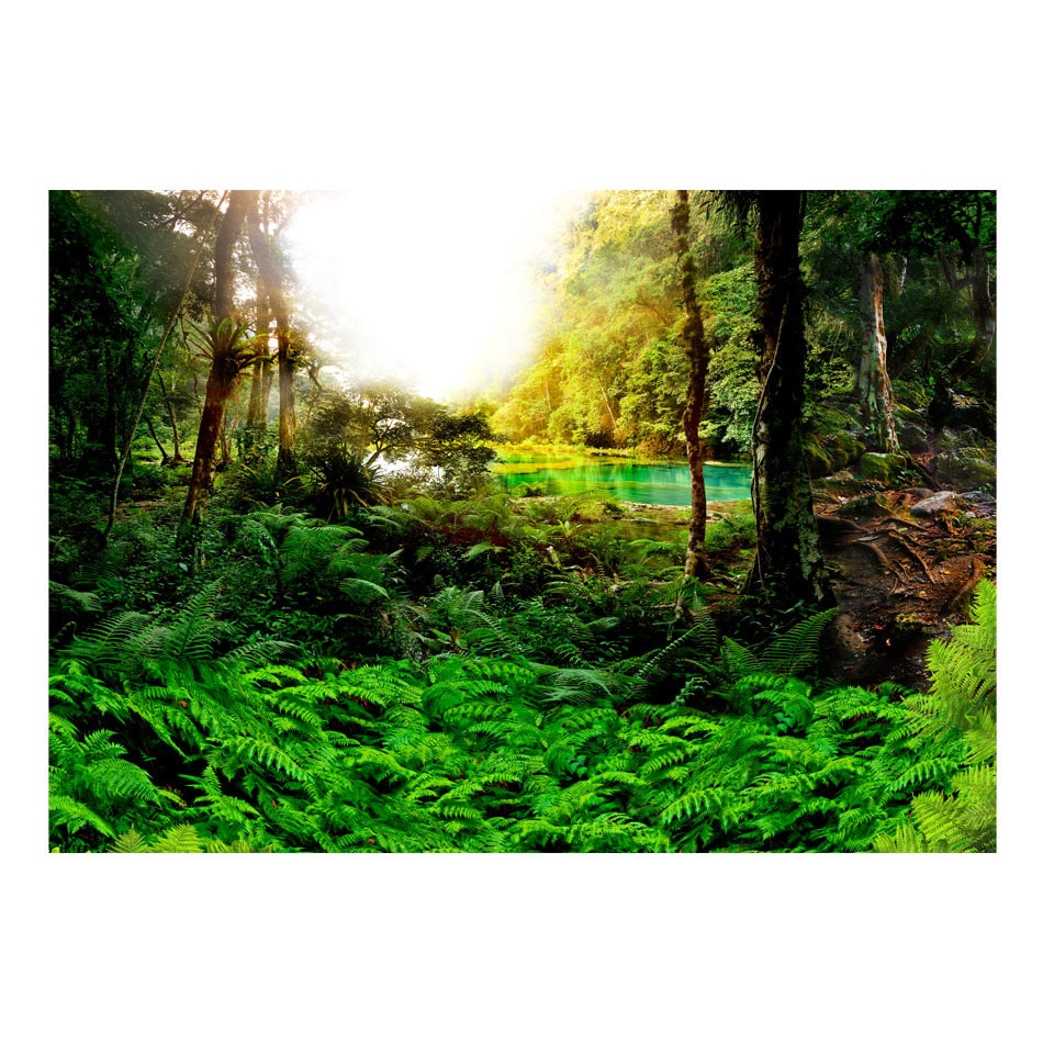 Fototapet vlies - in tropice - 400 x 280 cm