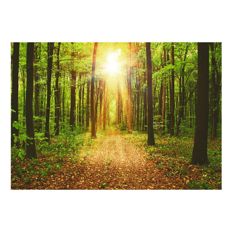 Fototapet vlies - Oglinda naturii - 300 x 210 cm