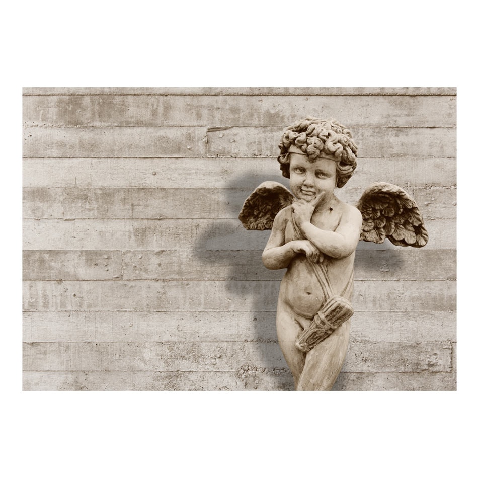 Fototapet vlies - Fata Angelica - 400 x 280 cm